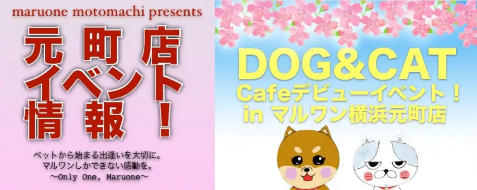 ペットショップ マルワン 小さめ子犬 美形な子猫 初心者安心のサポート