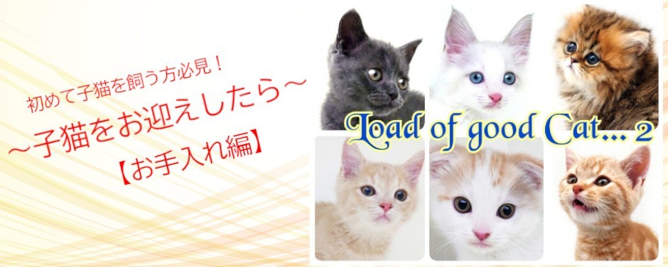 高井戸店‐子猫お手入れblog