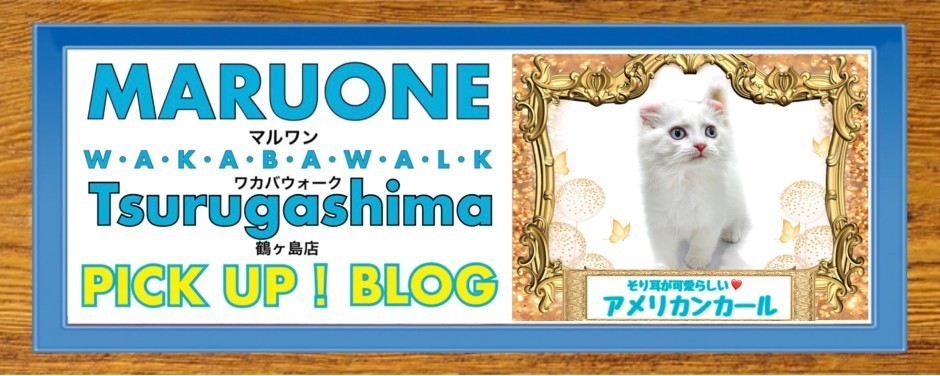 ワカバウォーク鶴ヶ島店 PICK UP BLOG CAT