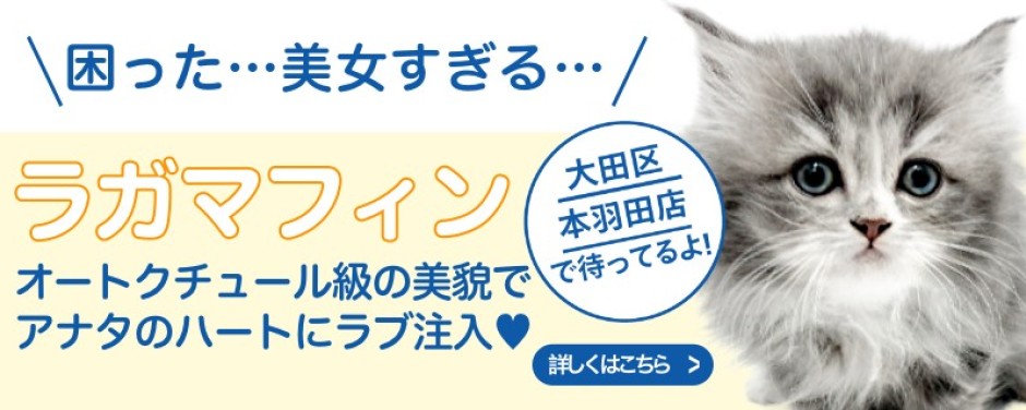 本羽田店おすすめベイビーラガマフィン