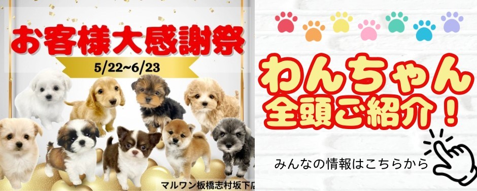 感謝祭 カウントダウン
