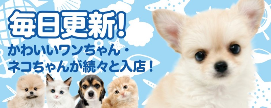 毎日更新スライド