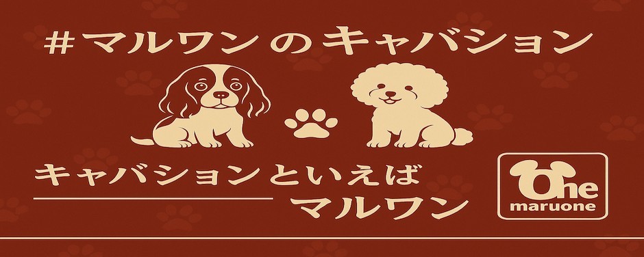 相模大塚店スライド-きゃばしょんまとめ