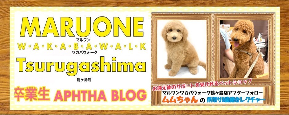 ワカバウォーク鶴ヶ島店 卒業生サポートブログ