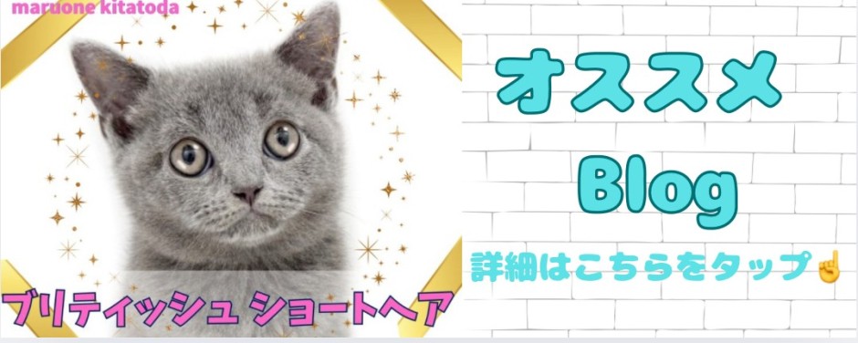 ブリティッシュ