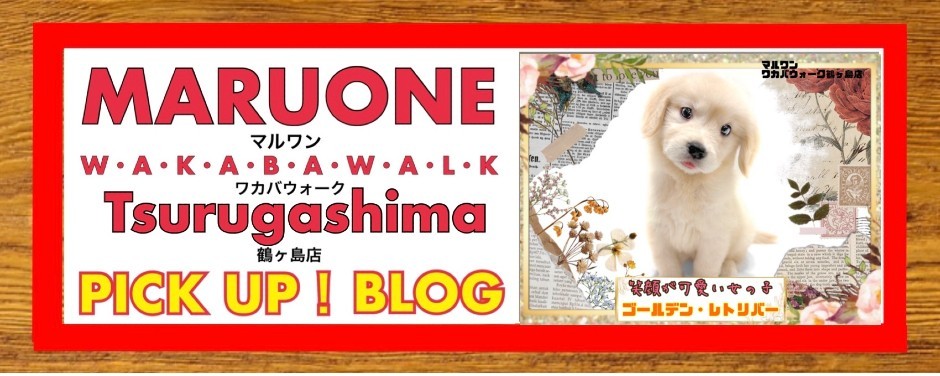 ワカバウォーク鶴ヶ島店 PICK UP BLOG DOG