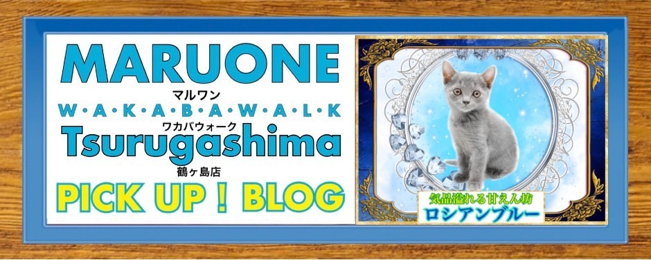ワカバウォーク鶴ヶ島店 PICK UP BLOG CAT