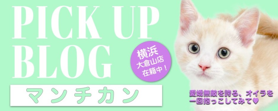 レビュー／マンチカン