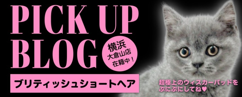 blogーブリ