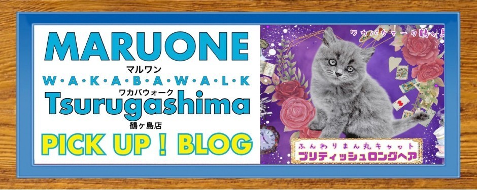 ワカバウォーク鶴ヶ島店 PICK UP BLOG CAT