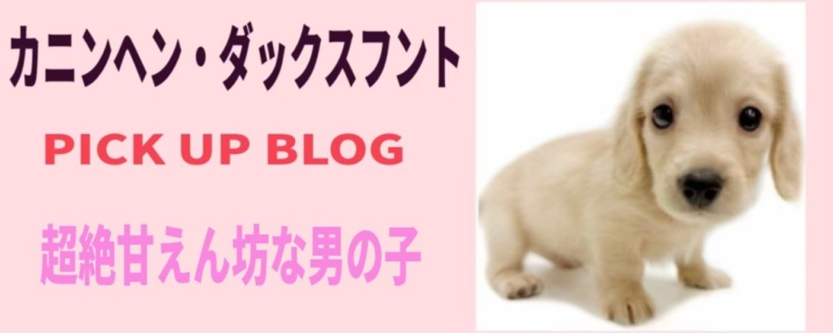 カニンヘン・ダックスフントブログ