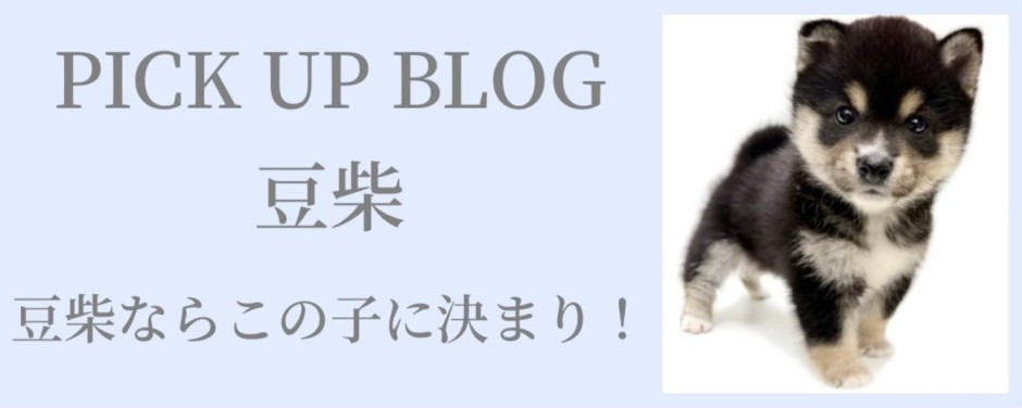 豆柴ブログ