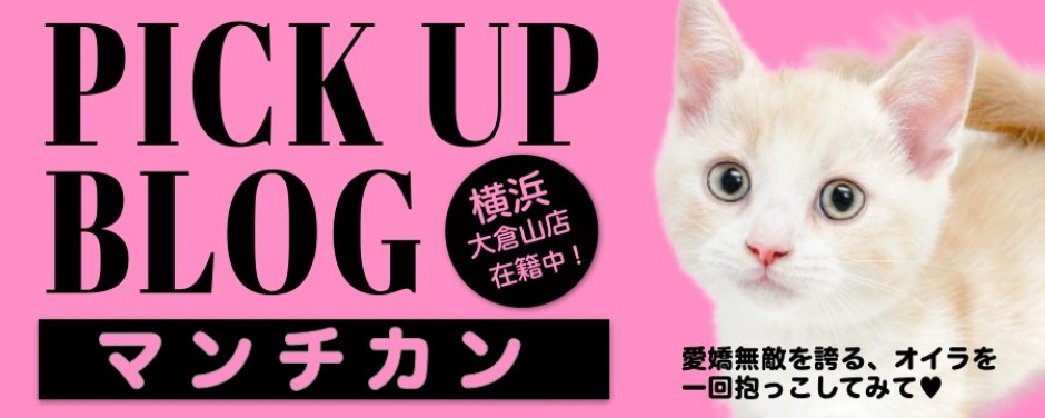 レビュー／マンチカン