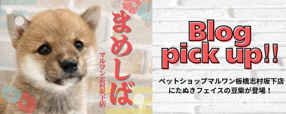 まめ