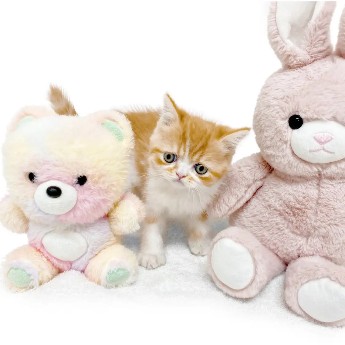 フォールデックス