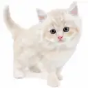 サイベリアン