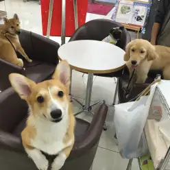 必読！「一緒に育てる」マルワンサポートとは！