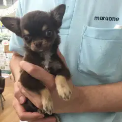 日常に迫るトラブル！？骨折の危険性と予防法！