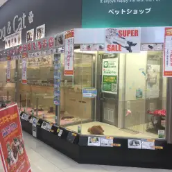 スーパーセール特別企画：マルワン大倉山店はこんなお店！