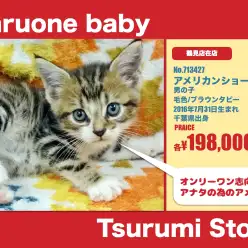 鶴見店オススメベイビー！（No.713427）