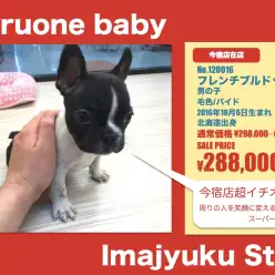 今宿店オススメベイビー！（No.120016）