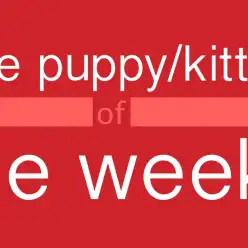 鶴見店オススメベイビー（No.713446）