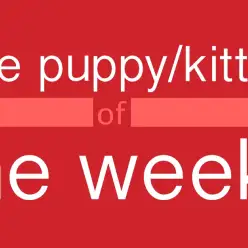 大倉山店オススメベイビー！（No.6130516）