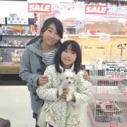 志村坂下店発：マルワンユーザーインタビュー！〜トイ・プードル・ライト君編〜