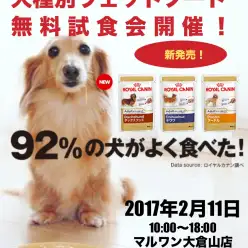 告知：2/11（土）大倉山店ロイヤルカナン犬種別ウェットフード無料試食会開催！