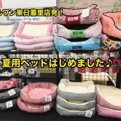 【限定！夏用ベッド入荷！】可愛い柄の夏用ベッドが東日暮里店に入荷！