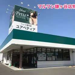 【店舗紹介】トレーニングのメッカ！マルワン鎌ヶ谷店はこんなお店！