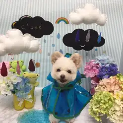 【タイムキープサービス】梅雨の時期のストレス解消に最適なサービス！：マルワン白楽店