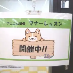 【マルワン＆アニコム損保共同イベント！！】パピーパーティー開催！！～武蔵浦和店＆志村坂下店編～