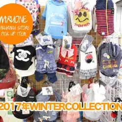 【コーディネート】秋冬の新作のご紹介！可愛い愛犬に似合うお洋服一緒にお探しします！：マルワン白楽店発