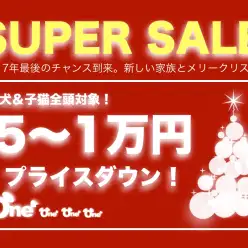 【スーパーセール開催！】2017年もあとわずか！マルワンより素敵なクリスマスプレゼント♥