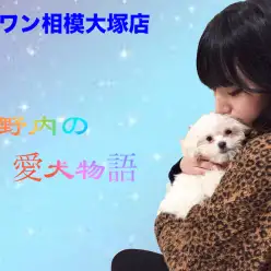 【愛犬物語】相模大塚店スタッフの愛犬物語第3弾!〜木野内&モカ、ラテ編〜
