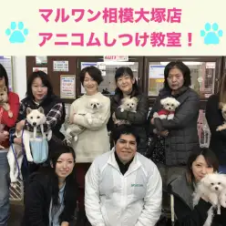 【11/30しつけ教室】マルワン×アニコム合同イベント！相模大塚店レポート冬の陣！