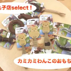 【わんこグッズ紹介】長持ちカミカミのオススメおもちゃ！：下丸子店発
