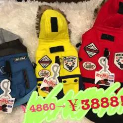 【コーディネート】冬服ブランドセール開催中！：白楽店発