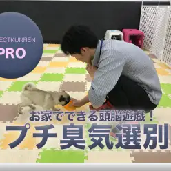 【プロ技公開】まるで警察犬！？お家でできる頭を使った遊び～プチ臭気選別～鎌ヶ谷店PROJECTKUNREN PRO VOL.3