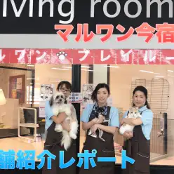 【20周年特別企画・店舗ツアー！】トリミング＆犬の幼稚園も併設！ペットと共に歩む愛が詰まったマルワン今宿店♥｜横浜市旭区