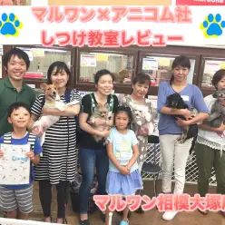 【アフターサポート・しつけ教室】定期開催！マルワン×アニコム損保しつけ教室レビュー！参加してくれたみんなありがとう♪：ペットショップマルワン相模大塚店（大和市）｜イベント情報