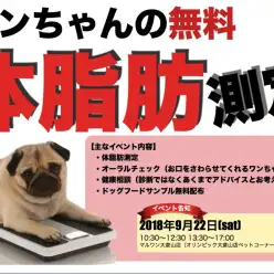 【 9.22大倉山店FESTIVAL開催！情報その1 】「 ワンちゃんの無料体脂肪測定会」で健康チェック！〜アニコム損保協力〜 ペットショップマルワン大倉山店フェス開催！ペティアポイントも2倍！