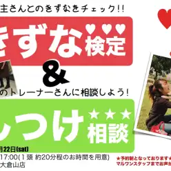 【 9.22大倉山店FESTIVAL開催！情報その2 】「しつけ相談会＆きずな検定＆パピー教室」〜アニコム損保協力〜 ペットショップマルワン大倉山店フェス開催！ペティアポイントも2倍！