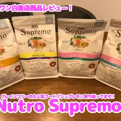 【商品レビュー】白楽店でグレインフリーの大人気フード『 シュプレモ 』取り扱ってます‼︎