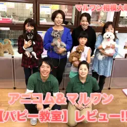 【 相模大塚店パピー教室 】9/27開催!!アニコム＆マルワン合同イベントレビュー♪みんなの活躍をシーン見てね♡