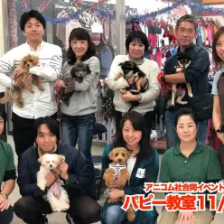 【 11/29港北NT店パピー教室】アニコム社合同パピー教室レポート！