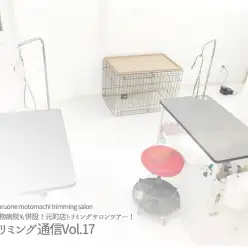 【 トリミング通信Vol.17 】カフェ・動物病院も併設！元町店トリミングサロンツアー！
