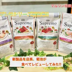 【 ドッグフードレビュー 】Supremo4種の新製品を実際に食べてレビューしてみた！