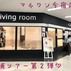 【 今宿店店舗ツアー 】ペットにも人にも優しい愛情たっぷりの今宿店をご案内！